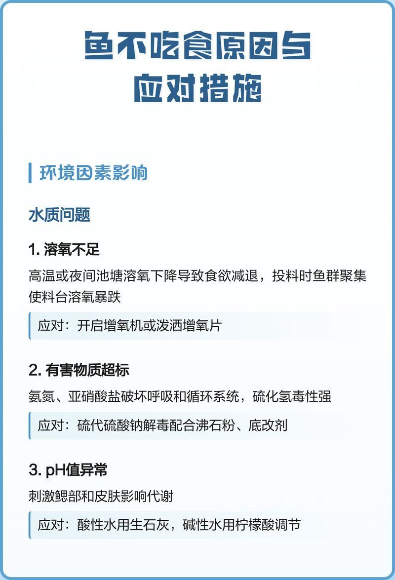 給我一份魚不吃食排查清單，魚不吃食怎么辦