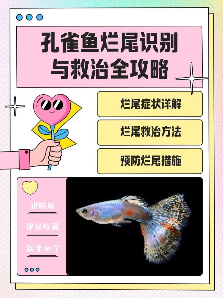 如何判斷魚類是否患有爛鰭爛尾，怎樣判斷魚類是否患有爛鰭爛尾