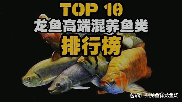 能提供一份十大龍魚品牌排行榜的圖片嗎？，十大龍魚品牌排行榜