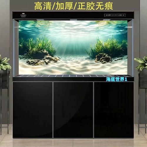 紅龍魚壁紙價格是多少，紅龍魚壁紙價格因尺寸、材質和設計的不同而有所差異 紅龍魚壁紙價格是多少，紅龍魚壁紙價格因尺寸、材質和設計的不同而有所差異 龍魚百科 第7張