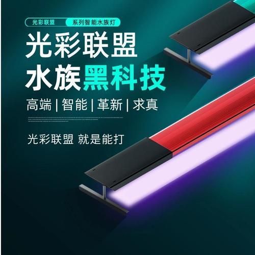 龍魚燈光色溫如何選擇，龍魚燈光色溫的選擇 龍魚燈光色溫如何選擇，龍魚燈光色溫的選擇 龍魚百科 第2張