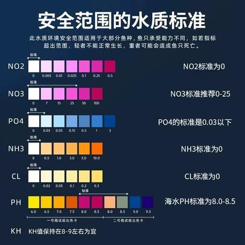 如何改善觀賞魚的生活環境，如何改善觀賞魚生活環境