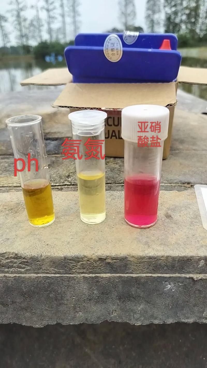 如何改善觀賞魚的生活環(huán)境，如何改善觀賞魚生活環(huán)境