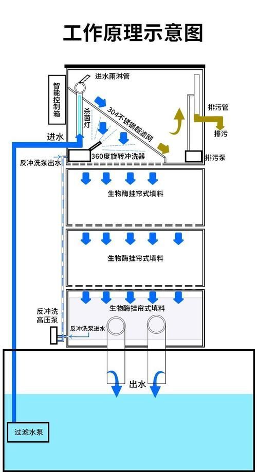 如何改善觀賞魚的生活環(huán)境，如何改善觀賞魚生活環(huán)境