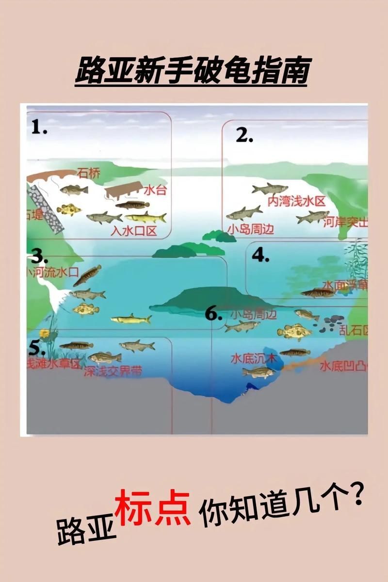 杜集龍魚主要分布在哪些地區？，杜集龍魚（scleropagesformosus）