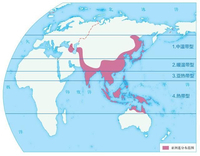 杜集龍魚主要分布在哪些地區？，杜集龍魚（scleropagesformosus）