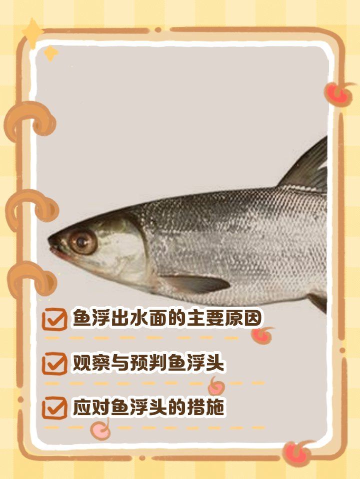 魚浮頭后如何恢復活力，魚浮頭后如何恢復活力當魚類浮頭時如何恢復活力 魚浮頭后如何恢復活力，魚浮頭后如何恢復活力當魚類浮頭時如何恢復活力 龍魚百科 第2張