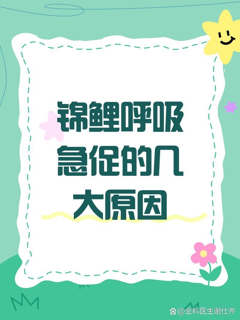 魚(yú)呼吸急促多久會(huì)死，魚(yú)呼吸急促多久會(huì)死魚(yú)呼吸急促多久會(huì)死魚(yú)呼吸急促多久會(huì)死 魚(yú)呼吸急促多久會(huì)死，魚(yú)呼吸急促多久會(huì)死魚(yú)呼吸急促多久會(huì)死魚(yú)呼吸急促多久會(huì)死 龍魚(yú)百科 第2張
