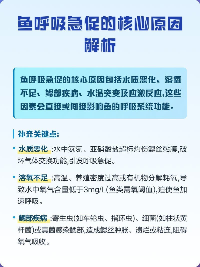 魚(yú)呼吸急促多久會(huì)死，魚(yú)呼吸急促多久會(huì)死魚(yú)呼吸急促多久會(huì)死魚(yú)呼吸急促多久會(huì)死 魚(yú)呼吸急促多久會(huì)死，魚(yú)呼吸急促多久會(huì)死魚(yú)呼吸急促多久會(huì)死魚(yú)呼吸急促多久會(huì)死 龍魚(yú)百科 第1張
