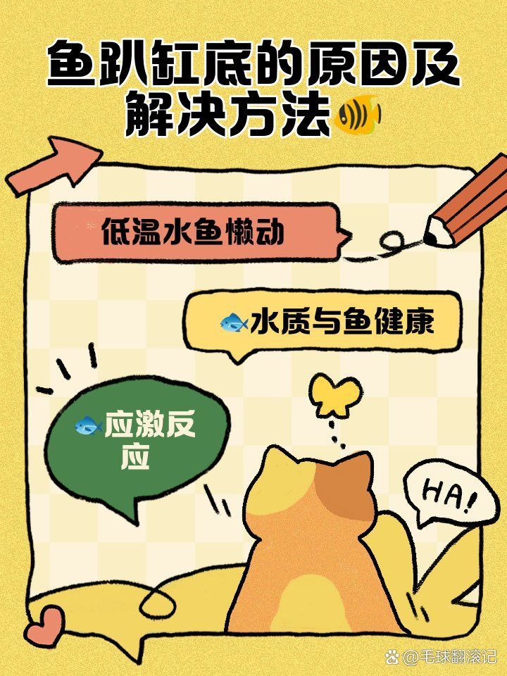 給我一些預(yù)防魚(yú)兒趴缸的實(shí)用技巧，如何預(yù)防魚(yú)兒趴缸 給我一些預(yù)防魚(yú)兒趴缸的實(shí)用技巧，如何預(yù)防魚(yú)兒趴缸 龍魚(yú)百科 第3張