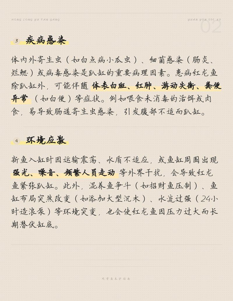 紅龍趴缸需要多久喂一次，紅龍魚趴缸時應該增氧嗎,如何判斷紅龍魚是否恢復健康 紅龍趴缸需要多久喂一次，紅龍魚趴缸時應該增氧嗎,如何判斷紅龍魚是否恢復健康 龍魚百科 第1張