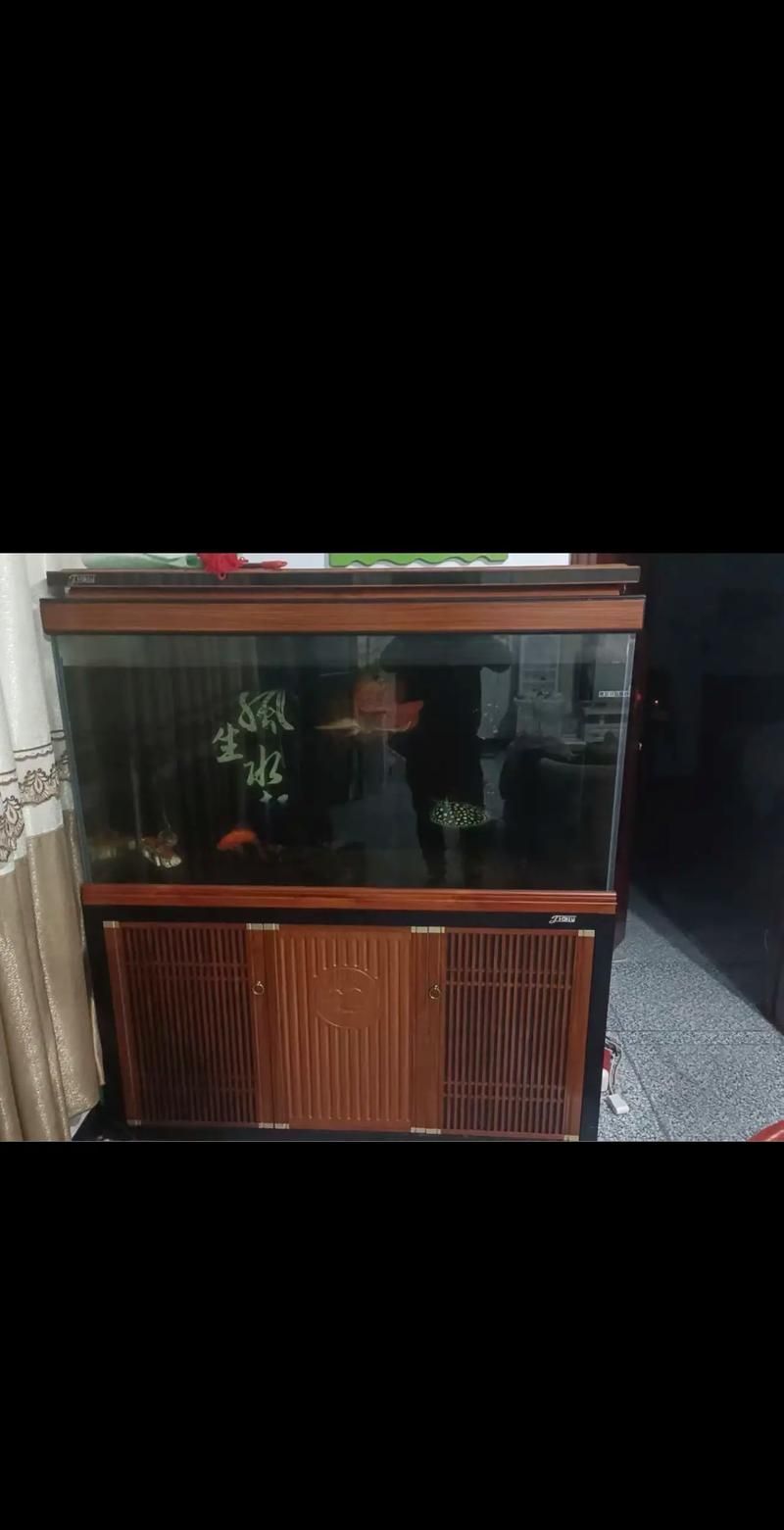 有哪些品牌龍魚魚缸性價比高？ 有哪些品牌龍魚魚缸性價比高？ 龍魚百科 第3張