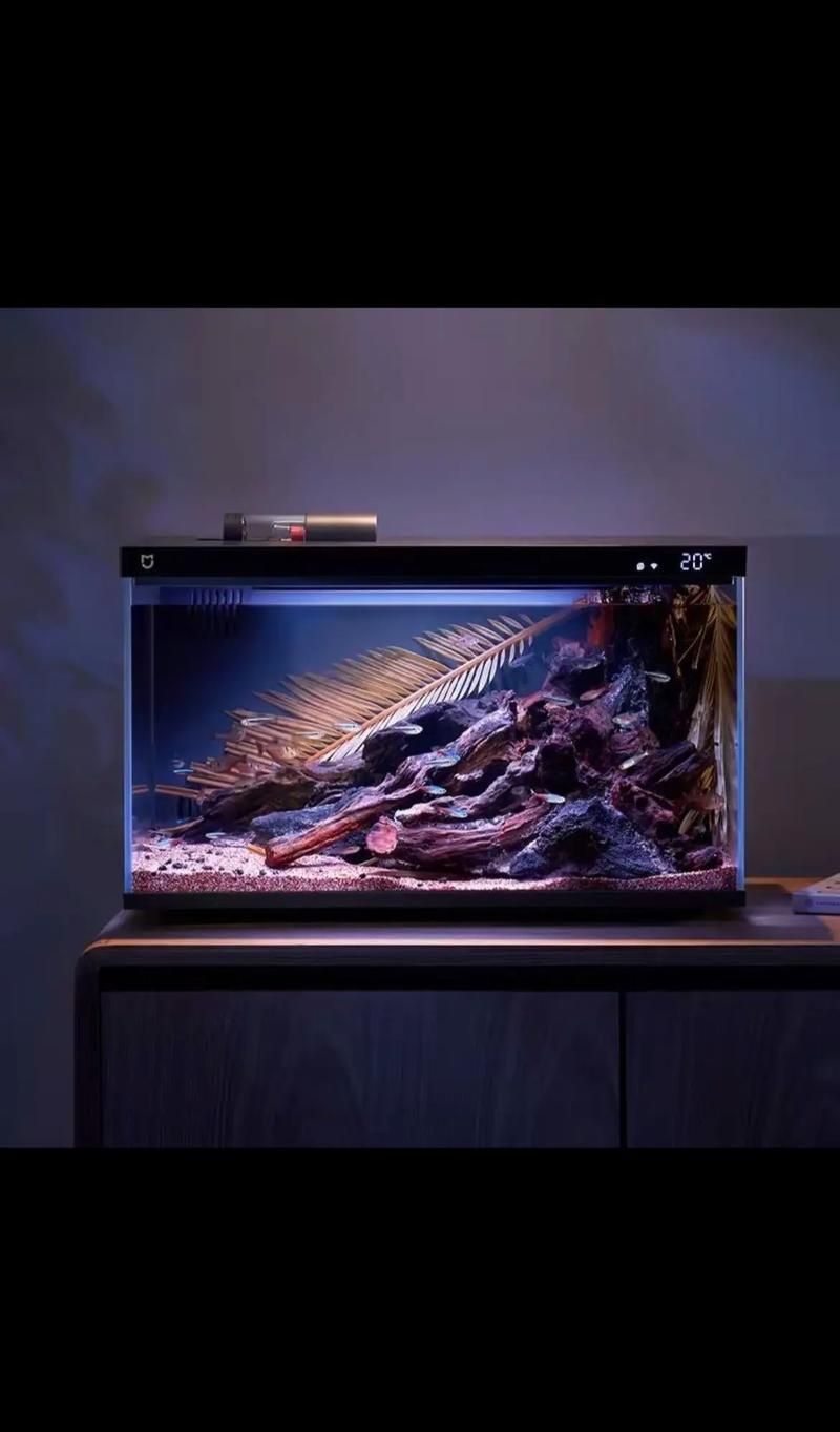 有哪些品牌魚缸值得信賴？ 有哪些品牌魚缸值得信賴？ 龍魚百科 第13張