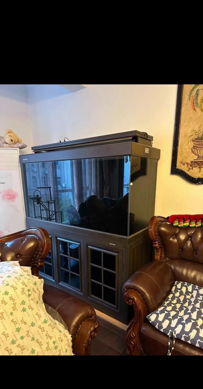 有哪些品牌龍魚缸推薦？，龍魚缸品牌推薦 有哪些品牌龍魚缸推薦？，龍魚缸品牌推薦 龍魚百科 第2張