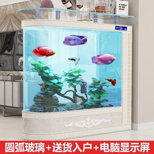 有哪些品牌龍魚缸推薦？，龍魚缸品牌推薦 有哪些品牌龍魚缸推薦？，龍魚缸品牌推薦 龍魚百科 第13張