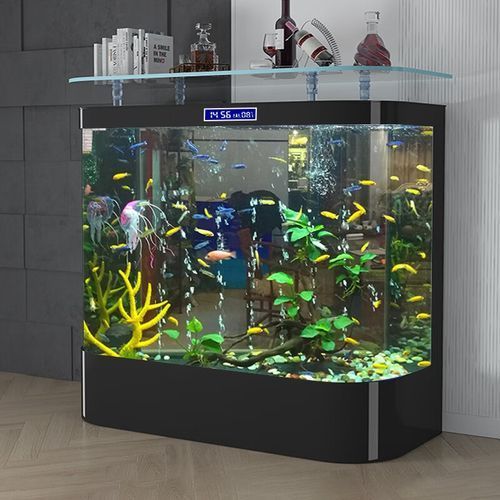 有哪些品牌龍魚缸推薦？，龍魚缸品牌推薦 有哪些品牌龍魚缸推薦？，龍魚缸品牌推薦 龍魚百科 第14張