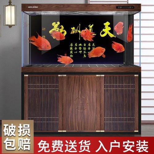 有哪些品牌龍魚缸推薦？，龍魚缸品牌推薦 有哪些品牌龍魚缸推薦？，龍魚缸品牌推薦 龍魚百科 第16張