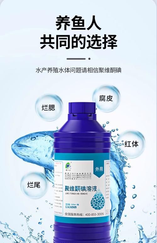 如何預防魚患腹水，如何預防腹水病