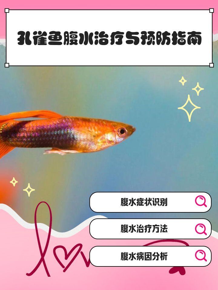 如何預防魚患腹水，如何預防腹水病