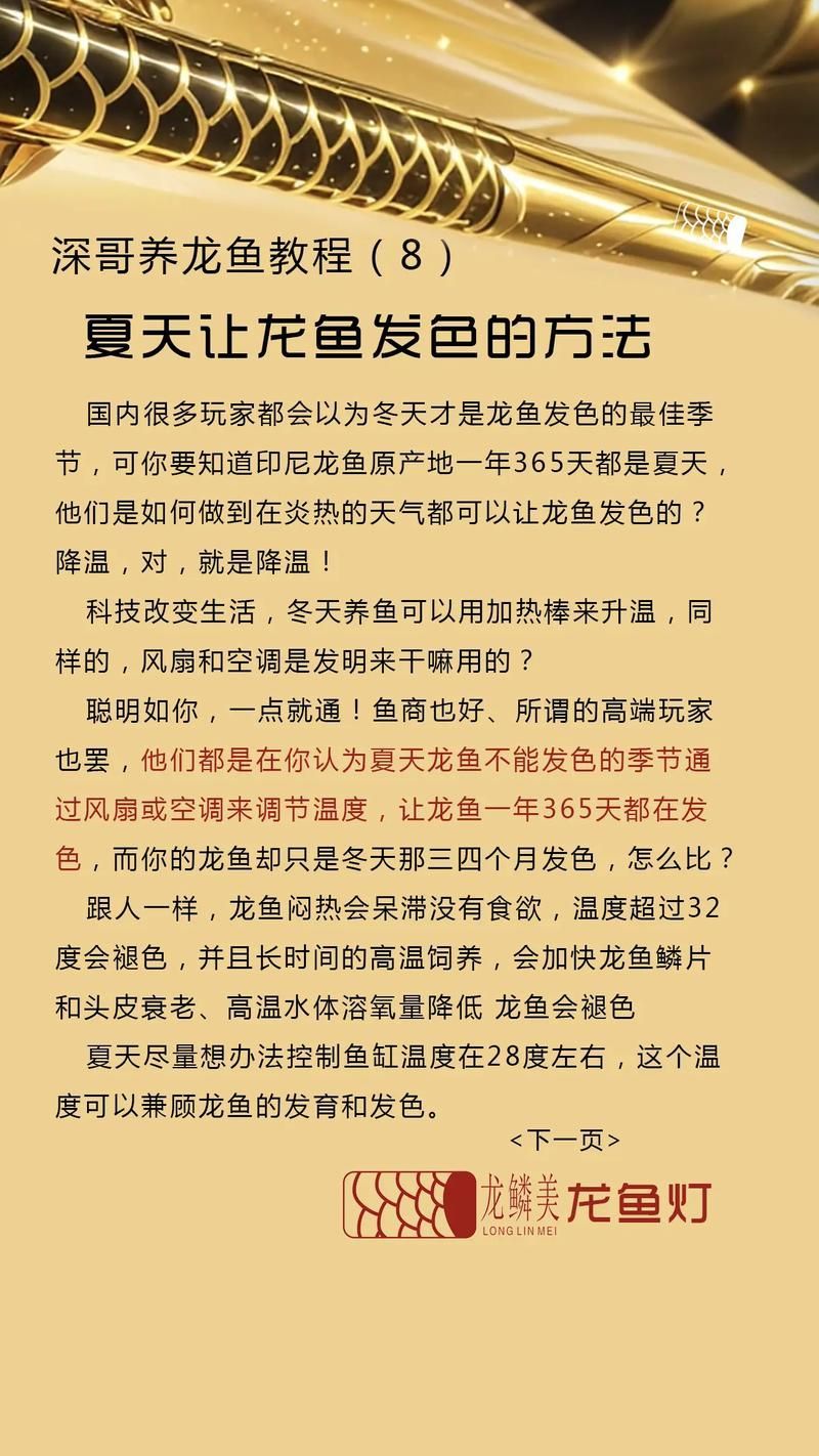 如何正確使用龍魚特效抗菌藥？，如何正確使用龍魚特效抗菌藥
