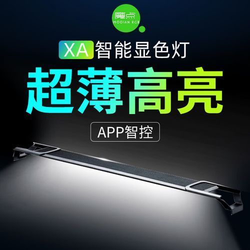 推薦幾款適合新手的龍魚燈，適合新手養魚的龍魚燈 推薦幾款適合新手的龍魚燈，適合新手養魚的龍魚燈 龍魚百科 第1張