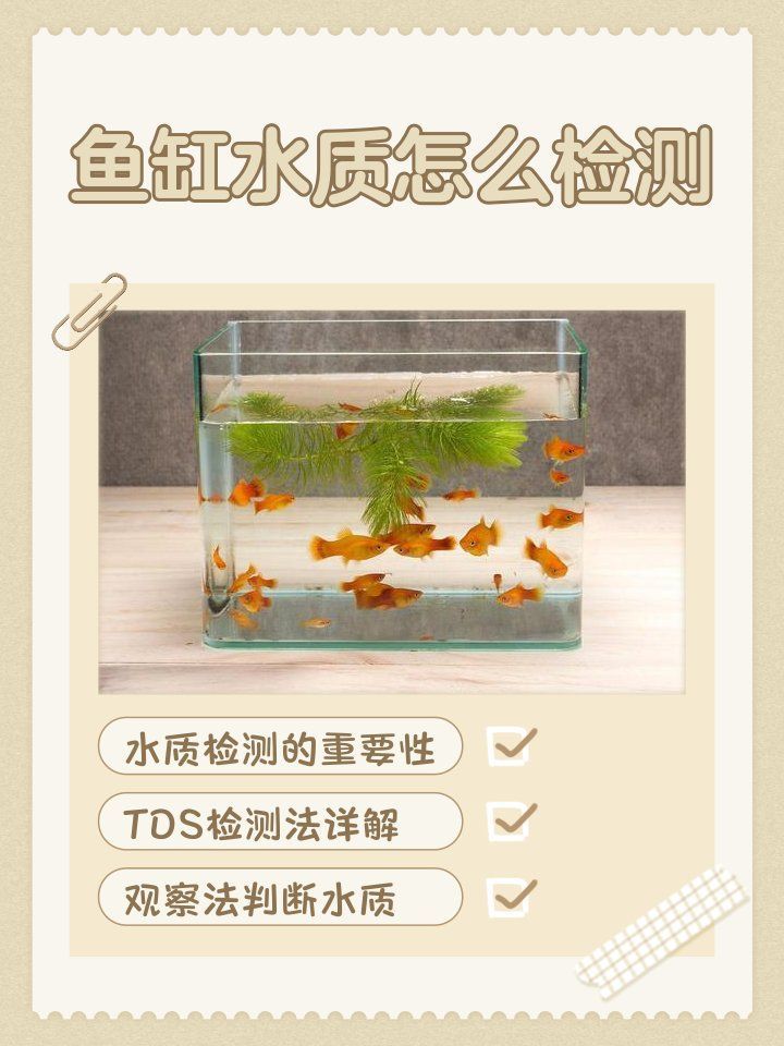 如何檢測(cè)魚(yú)缸中的水質(zhì)是否良好？，如何判斷魚(yú)缸水質(zhì)是否良好
