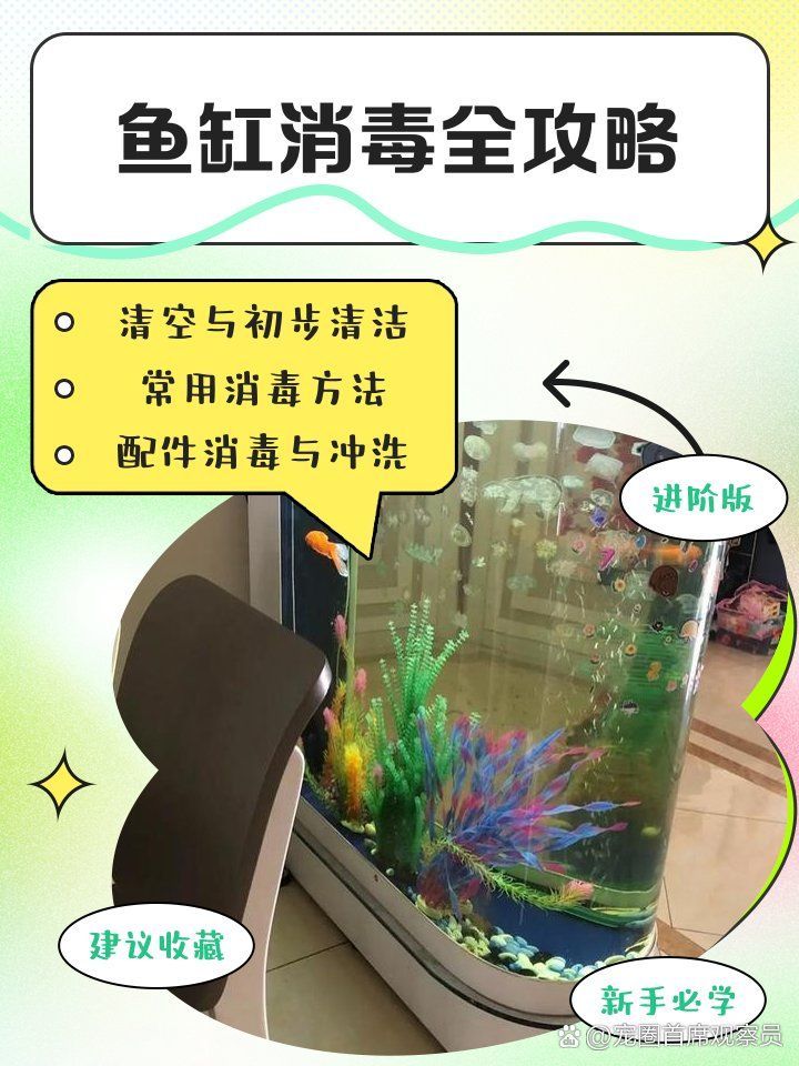 有哪些魚缸水消毒方法推薦，有哪些魚缸水消毒方法推薦,魚缸消毒的核心目標是殺滅病原體