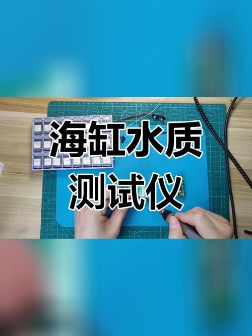 如何預防小型魚疾病？ 如何預防小型魚疾??？ 龍魚百科 第6張