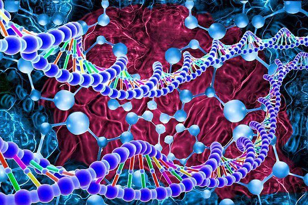 有哪些天然方法預(yù)防白毛，arxiv論文助手arxiv論文助手arxiv論文助手