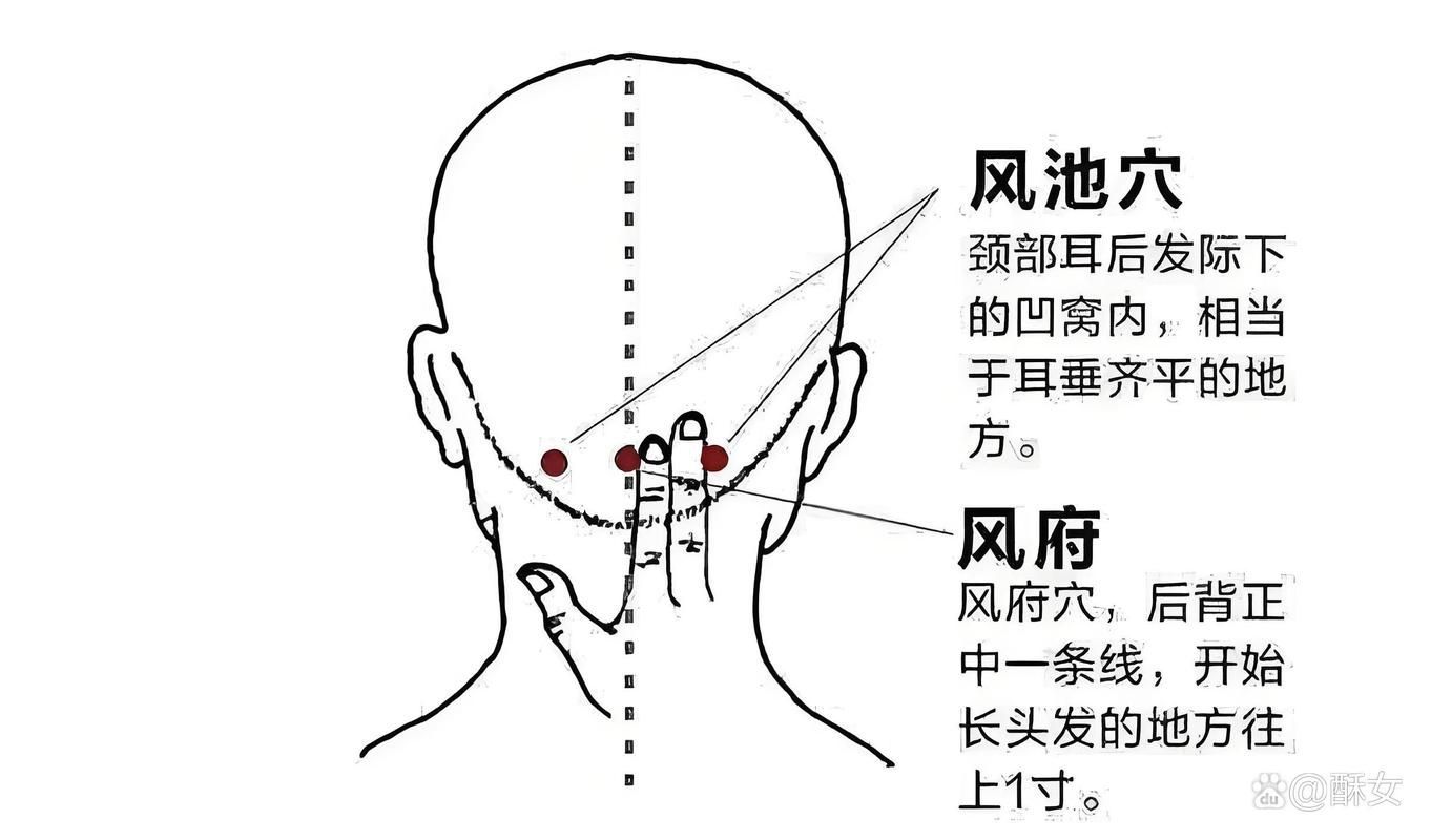 有哪些天然方法預(yù)防白毛，arxiv論文助手arxiv論文助手arxiv論文助手
