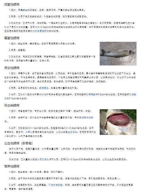 詳解（1000字和配圖）如何區(qū)分龍魚的三種疾病？，如何區(qū)分龍魚的三種主要疾病（arowana） 詳解（1000字和配圖）如何區(qū)分龍魚的三種疾??？，如何區(qū)分龍魚的三種主要疾?。╝rowana） 龍魚百科 第3張