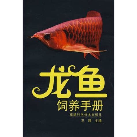 詳解(1000字和配圖)如何選購一條健康的龍魚?,如何選購一條健康的龍魚? 龍魚百科 第1張 詳解(1000字和配圖)如何選購一條健康的龍魚?,如何選購一條健康的龍魚? 詳解(1000字和配圖)如何選購一條健康的龍魚?,如何選購一條健康的龍魚? 龍魚百科 第1張