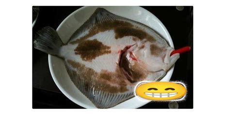 龍魚外傷漏出內臟還能恢復嗎視頻,龍魚外傷漏出內臟還能恢復嗎 龍魚百科 第3張 龍魚外傷漏出內臟還能恢復嗎視頻,龍魚外傷漏出內臟還能恢復嗎 龍魚外傷漏出內臟還能恢復嗎視頻,龍魚外傷漏出內臟還能恢復嗎 龍魚百科 第3張