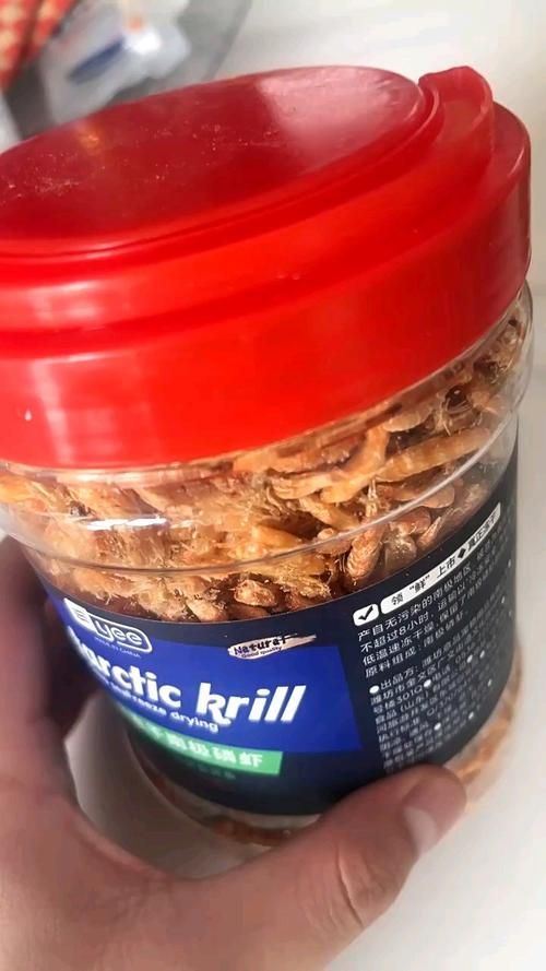 有哪些食物有助于預防龍魚蒙眼癥，龍魚蒙眼癥預防蒙眼癥的食物有助于預防龍魚蒙眼癥