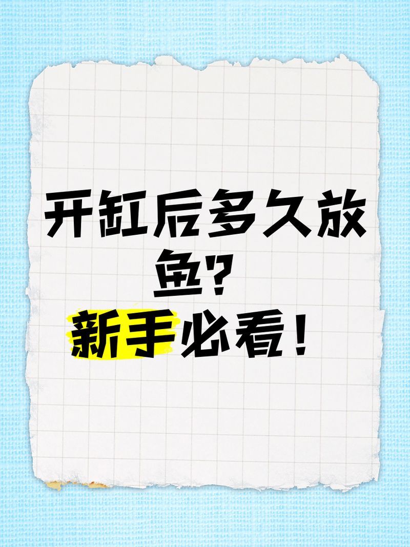 龍魚(yú)缸開(kāi)缸后多久可以放魚(yú)，龍魚(yú)缸開(kāi)缸后多久可以放魚(yú),新缸開(kāi)缸后多久可以放魚(yú)