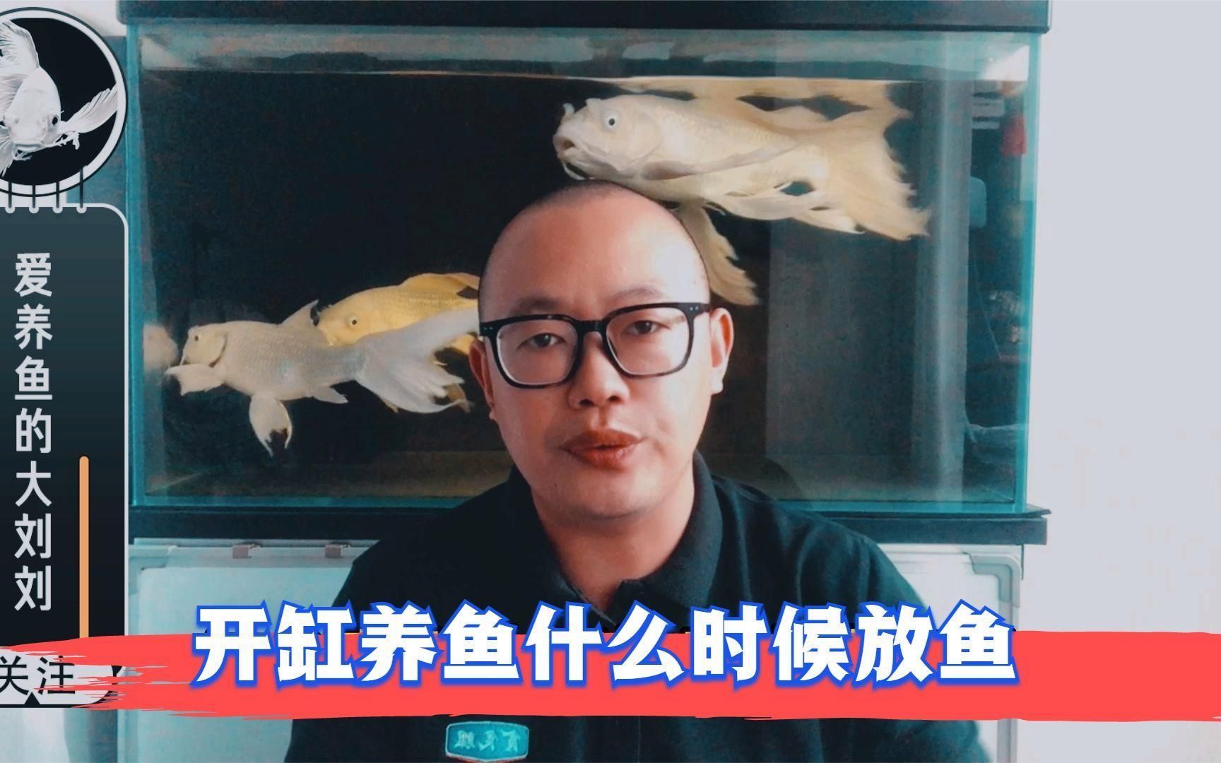 龍魚缸開缸后多久可以放魚，龍魚缸開缸后多久可以放魚,新缸開缸后多久可以放魚 龍魚缸開缸后多久可以放魚，龍魚缸開缸后多久可以放魚,新缸開缸后多久可以放魚 龍魚百科 第2張