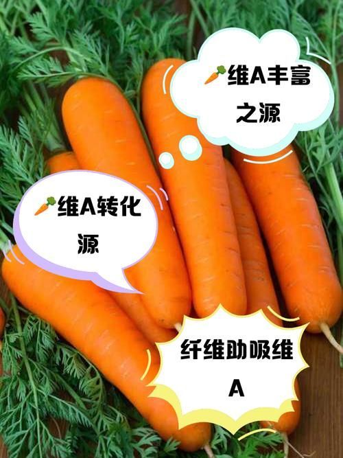 有哪些食物富含維生素A，富含維生素a食物轉化率約12:1思考完成,無中毒風險 有哪些食物富含維生素A，富含維生素a食物轉化率約12:1思考完成,無中毒風險 龍魚百科 第7張