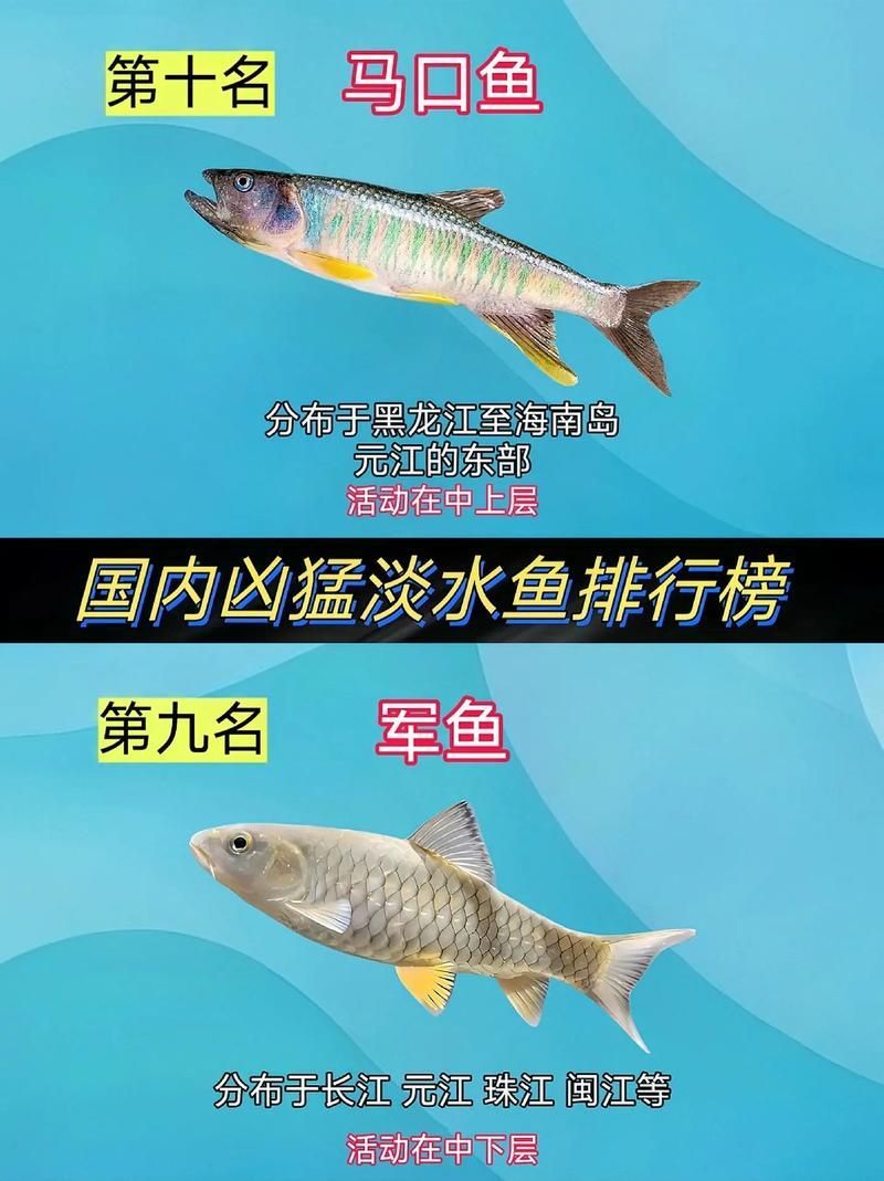 能否提供十大暴利淡水魚(yú)的圖片，養(yǎng)殖淡水魚(yú)的價(jià)格