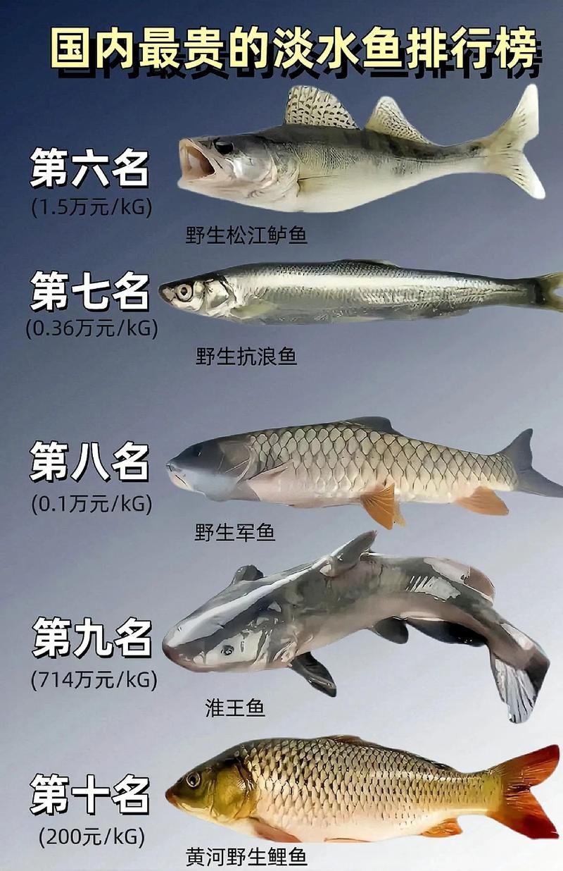 能否提供十大暴利淡水魚(yú)的圖片，養(yǎng)殖淡水魚(yú)的價(jià)格