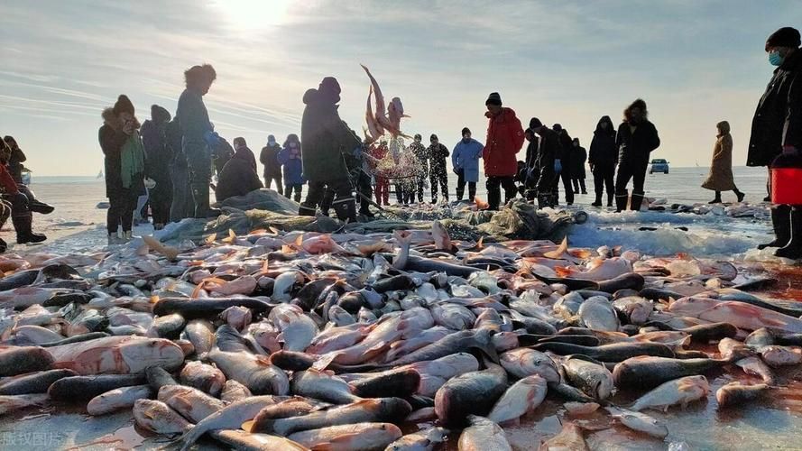 能否提供十大暴利淡水魚(yú)的圖片，養(yǎng)殖淡水魚(yú)的價(jià)格