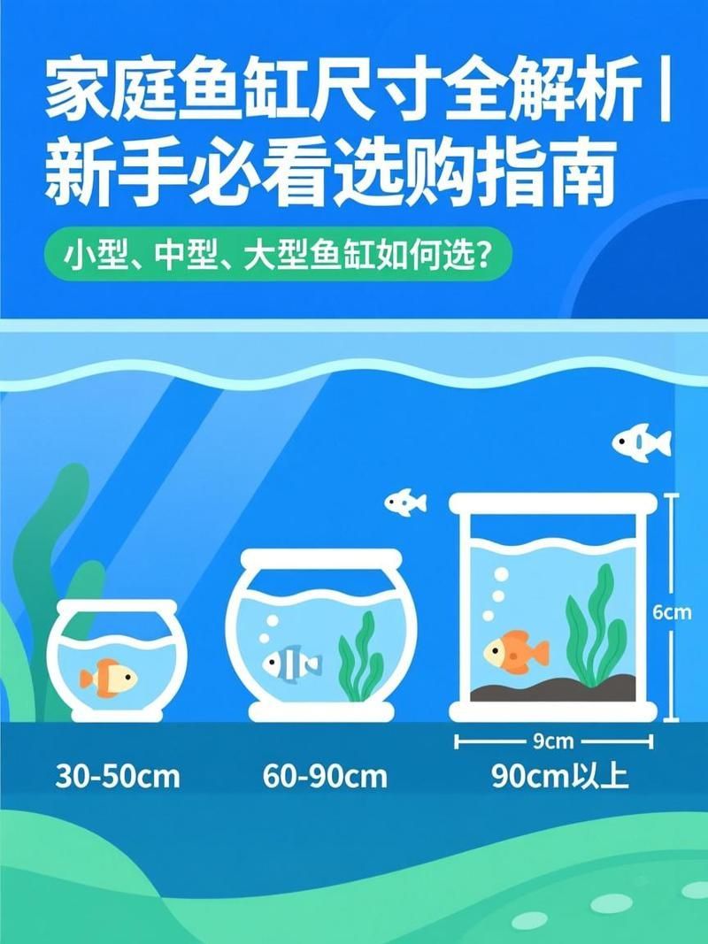 魚缸大小如何選擇，家庭魚缸尺寸全解析|新手必看 魚缸大小如何選擇，家庭魚缸尺寸全解析|新手必看 龍魚百科 第7張