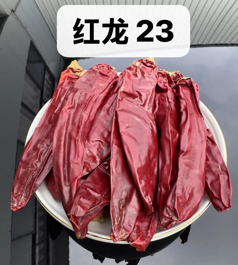 辣椒紅龍23號的特點是什么，辣椒紅龍23號是一種辣椒品種具有以下特點以下特點