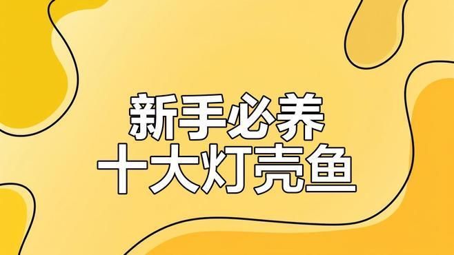 養魚幾條最適合初學者，養魚幾條最適合初學者的養魚品種，適合初學者的養魚品種