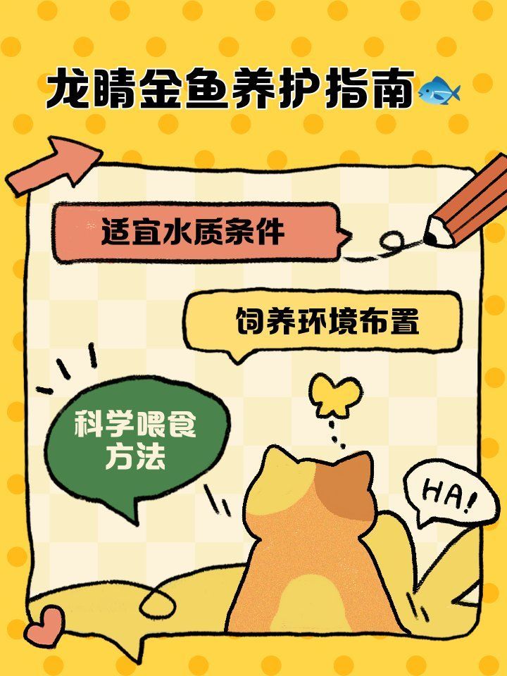 如何科學飼養龍睛魚，科學飼養龍睛魚 如何科學飼養龍睛魚，科學飼養龍睛魚 龍魚百科 第13張