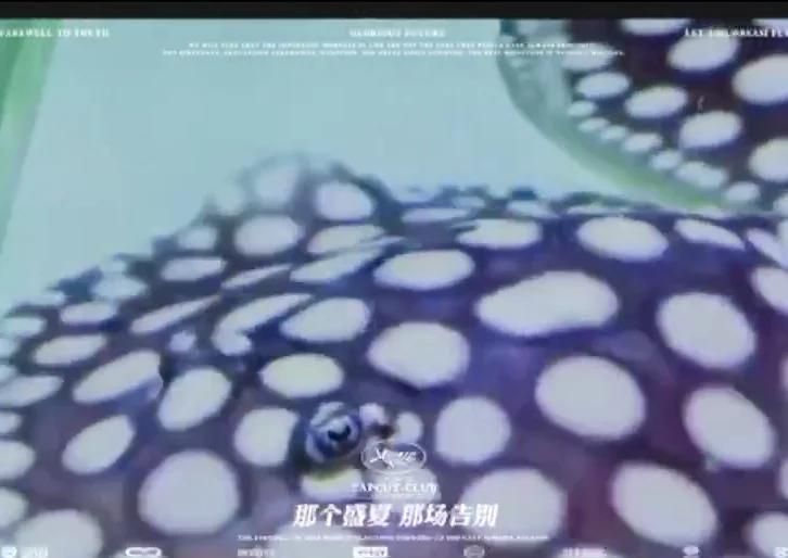 如何判斷魟魚的健康狀況？，判斷魟魚的健康狀況可以通過觀察其行為、體態和生理指標來進行 如何判斷魟魚的健康狀況？，判斷魟魚的健康狀況可以通過觀察其行為、體態和生理指標來進行 龍魚百科 第1張