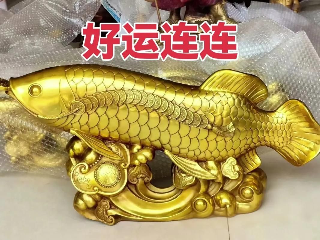 金龍福龍魚有哪些主打產品？ 金龍福龍魚有哪些主打產品？ 龍魚百科 第8張