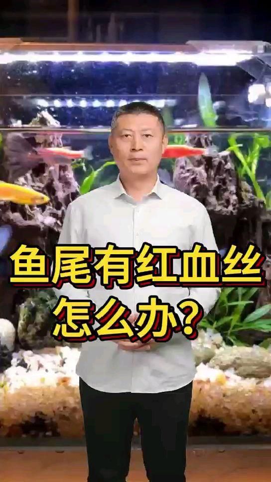 魚尾充血帶血絲用什么藥，魚尾充血絲用什么藥調(diào)用工具百度健康-去問診