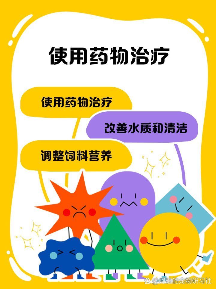 有哪些有效的觀賞魚白霜治療方法，如何治療觀賞魚白霜病