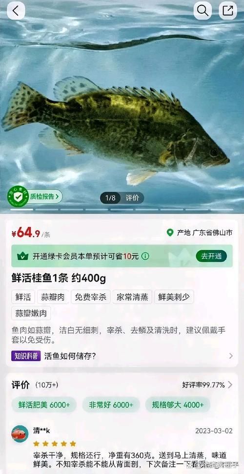 桂魚的市場價格是多少，桂魚市場價格波動，廣州沙園市場價格集中在60元/公斤