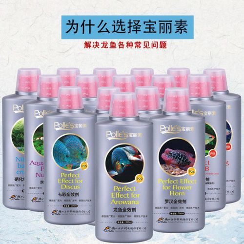 有哪些維生素品牌適合龍魚幼魚，龍魚幼魚用維生素補充計劃表，龍魚幼魚維生素補充劑